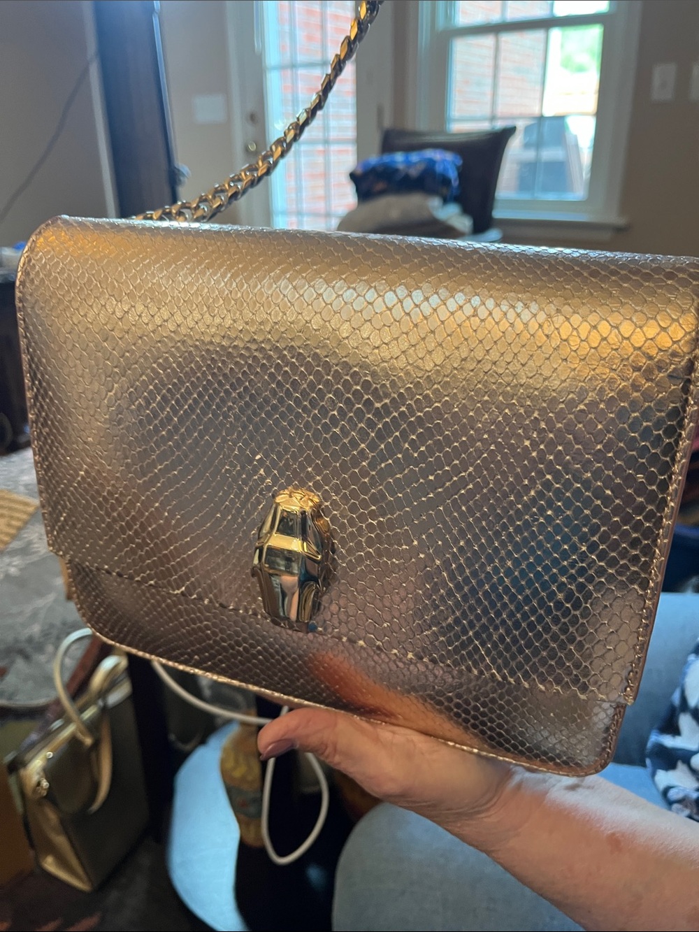 cavalli crossbody